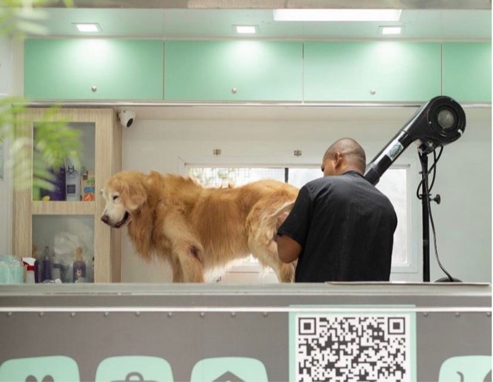 Cão de grande porte sendo secado dentro do pet truck da zazuu