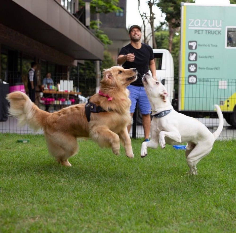 Dois cães brincando no gramado com um adestrador, com o pet truck da zazuu ao fundo