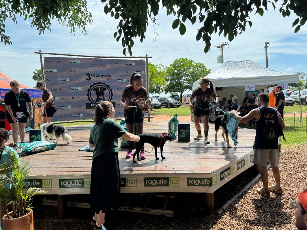 Tutores e seus cães em um palco de concurso pet ao ar livre