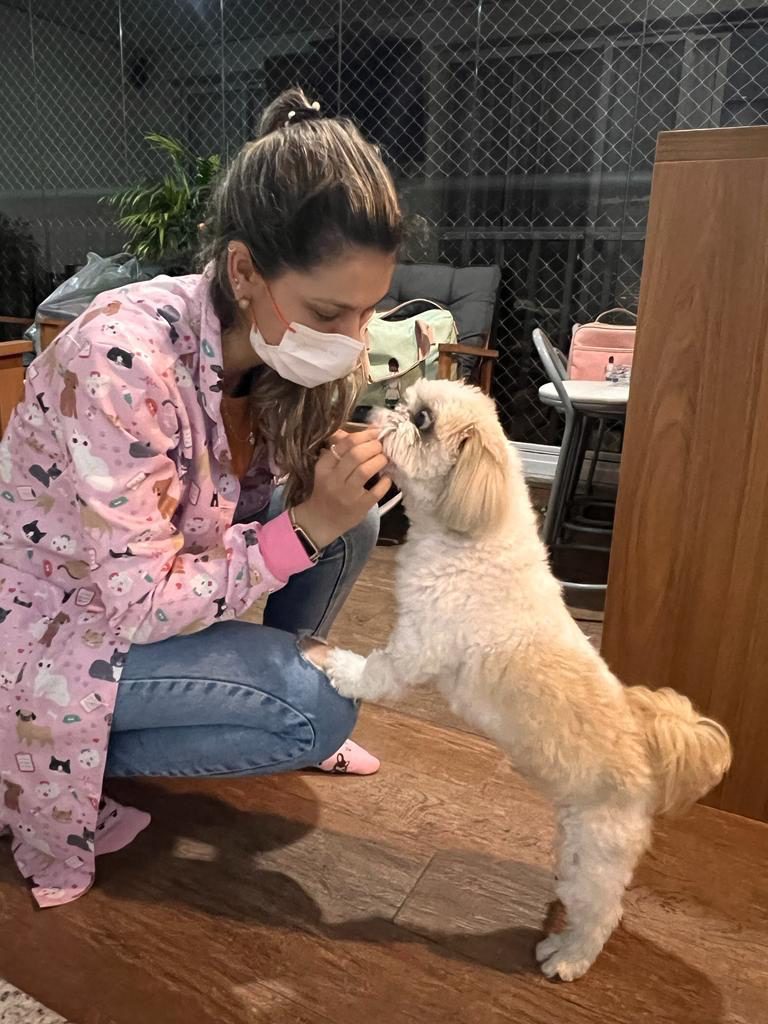Pet sendo examinado no conforto de casa