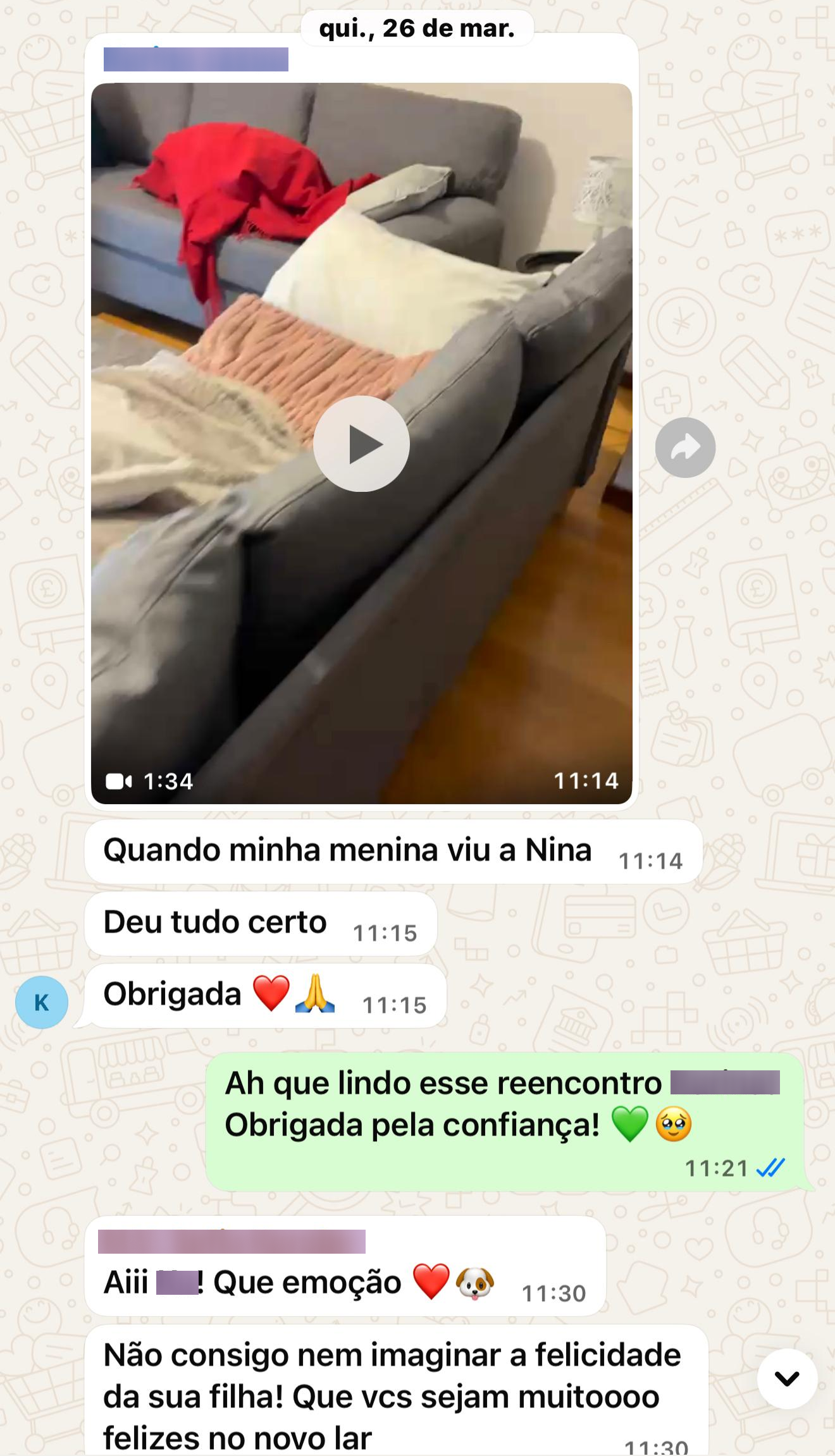 Depoimento de tutor sobre viagem com pet
