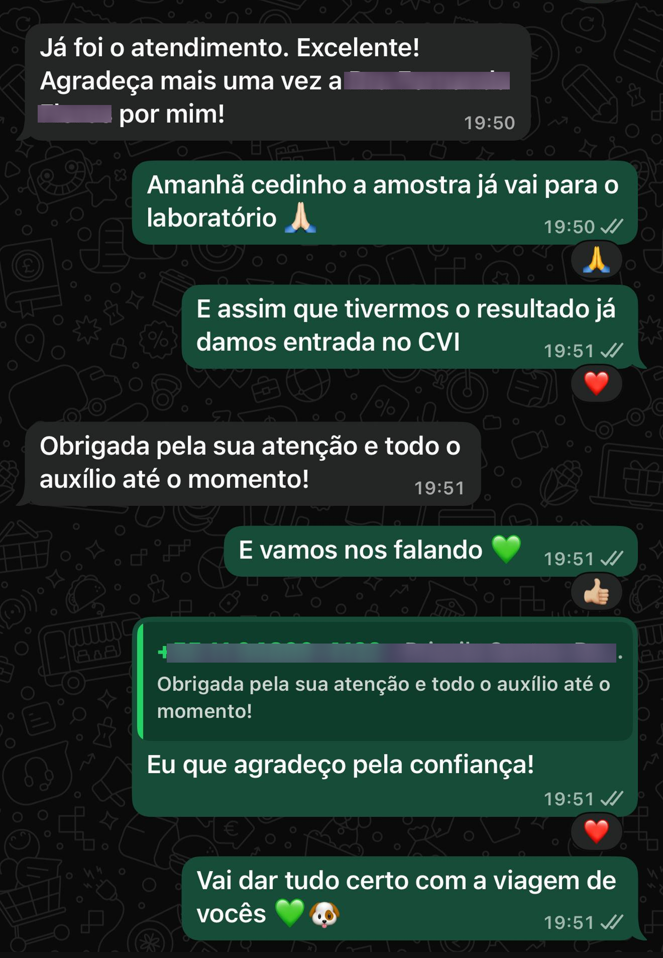 Depoimento de tutor sobre viagem com pet