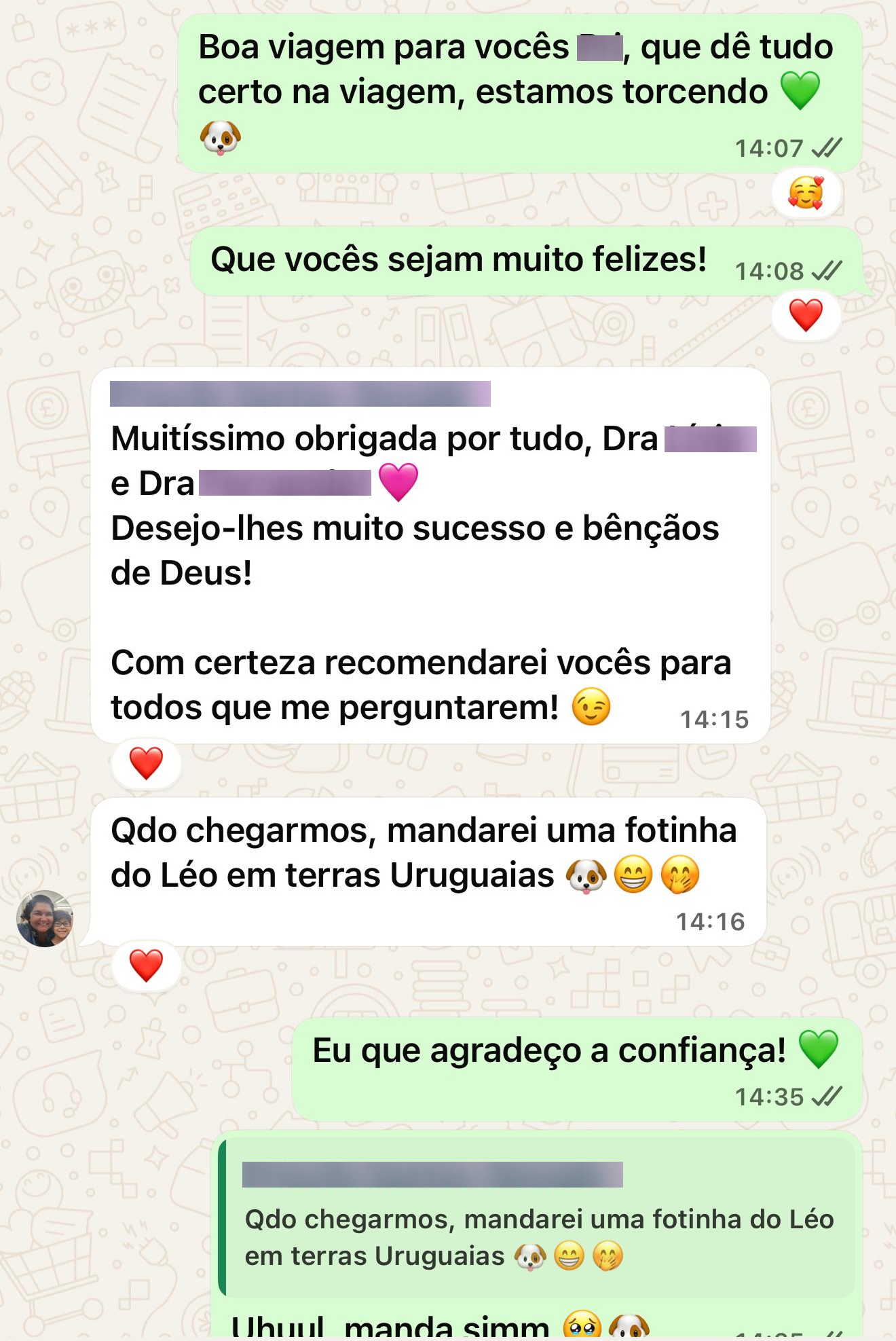 Depoimento de tutor sobre viagem com pet