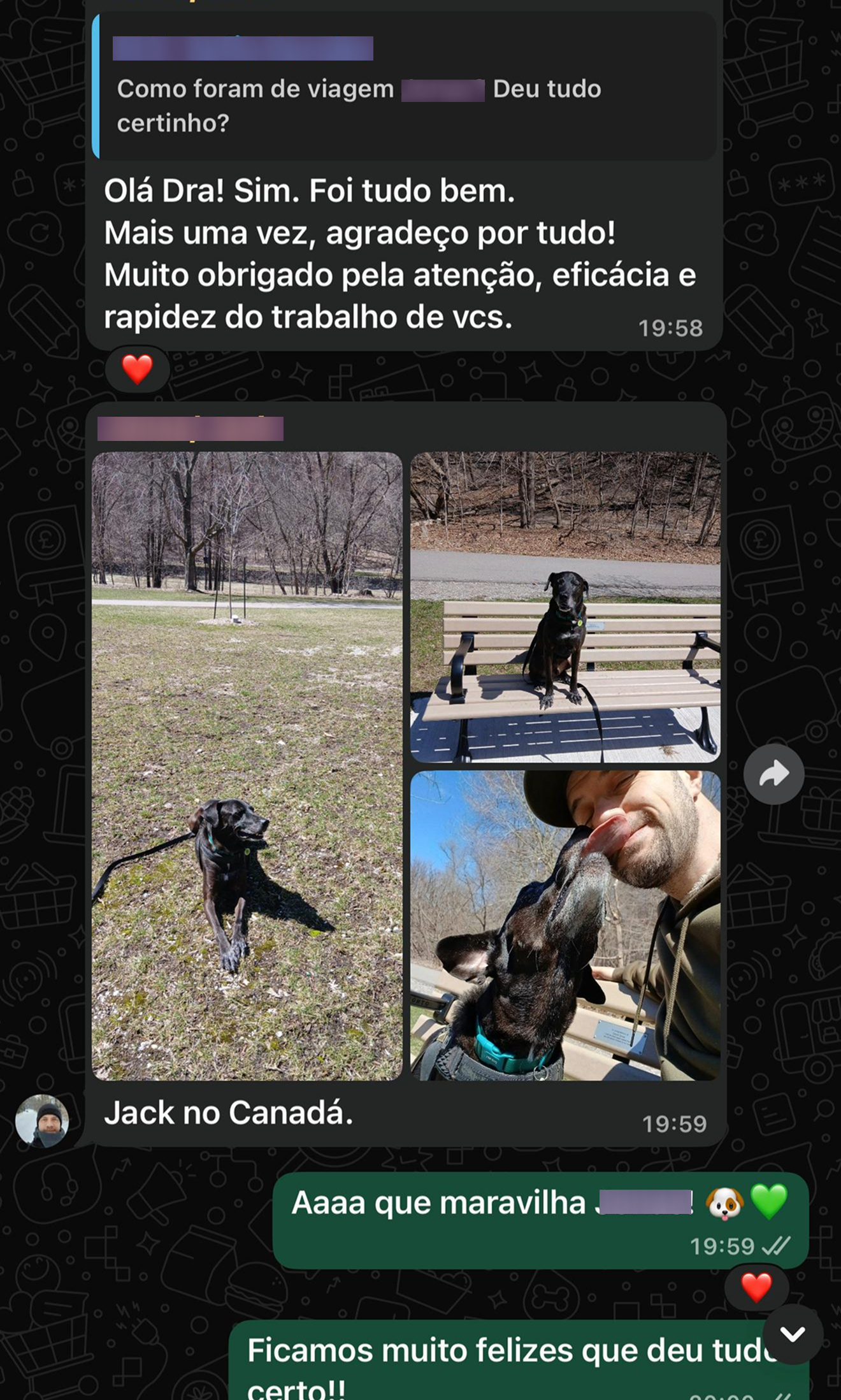 Depoimento de tutor sobre viagem com pet