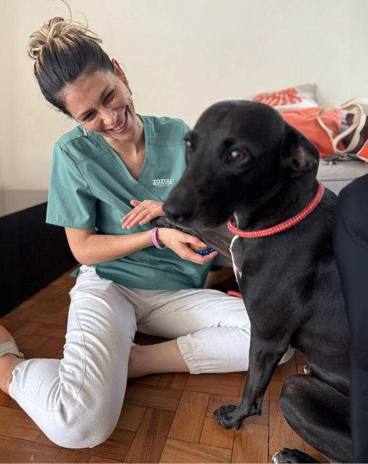 Consulta veterinária