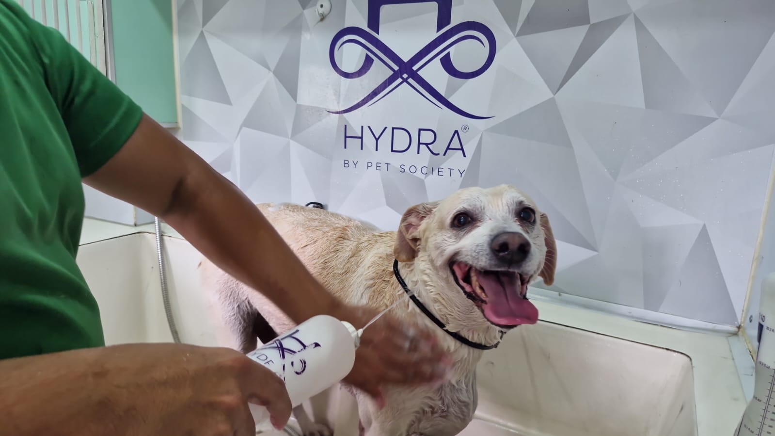 Banho com produtos Hydra